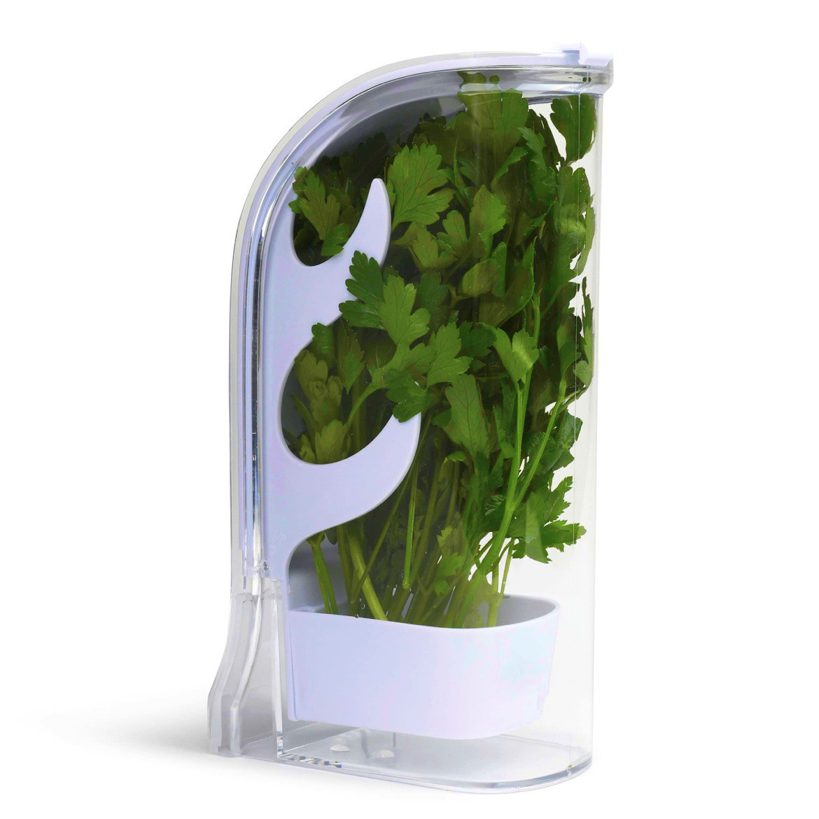 Herb Crisper Saver Container R - Herb Keeper Bottle ulasan dan harga
