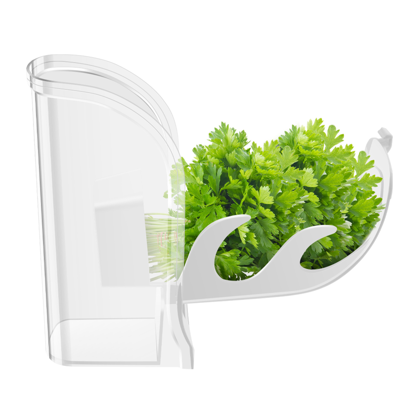 Herb Crisper Saver Container R - Herb Keeper Bottle ulasan dan harga