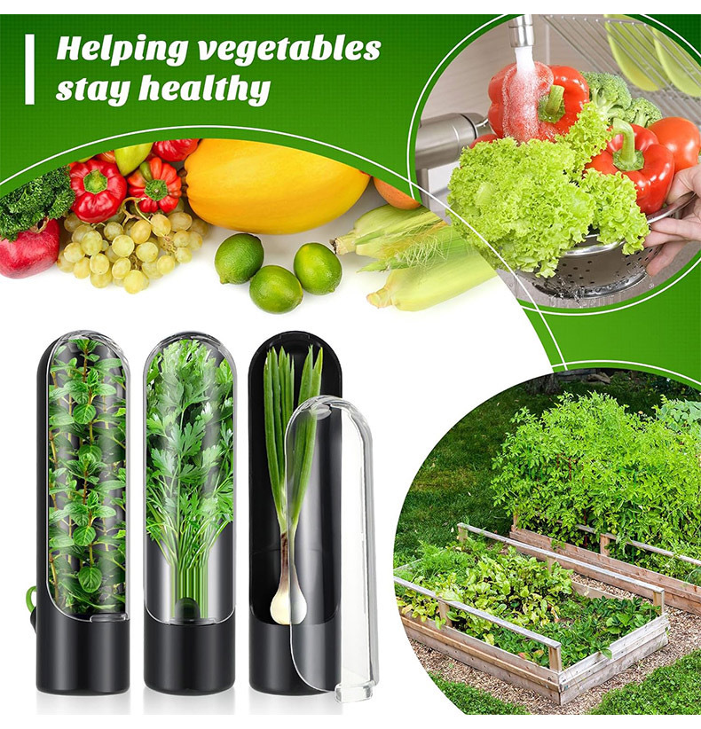 Vegetables Fresh Preservation  - Herb Keeper Bottle ulasan dan harga